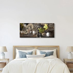 Tablou - Pisica mincinoasă (120x50 cm)