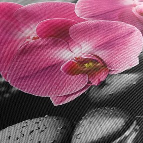 Tablou - Orhidee roz (70x50 cm)