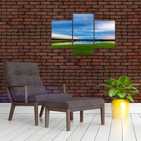 Tablou cu lunca (90x60 cm)