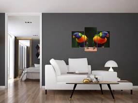 Tablou cu papagali (90x60 cm)