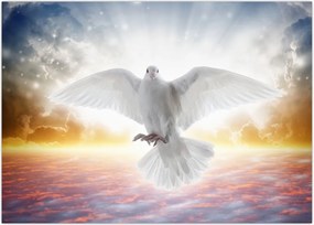 Tablou porumbiță (70x50 cm)