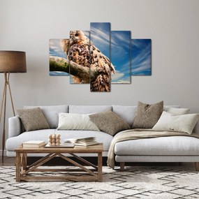 Tablou cu bufnița (150x105 cm)