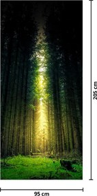 Fototapet pentru ușă - Pădurea Întunecată (95x205cm)