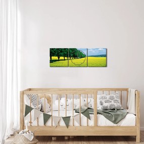 Tablou - Câmp cu alei (cu ceas) (90x30 cm)