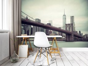 Fototapet - Manhattan (254x184 cm)