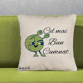 Cadou pentru Cumnat - Perna Personalizata Cel mai Bun Cumnat cu Personaj Funny Verde, 40x40 cm, Bej Canapea, Husa Detasabila, Perna Inclusa, BEKZ®