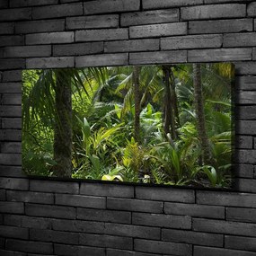 Tablou pe pânză Padure tropicala