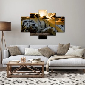 Tablou tigrul dormind (150x105 cm)