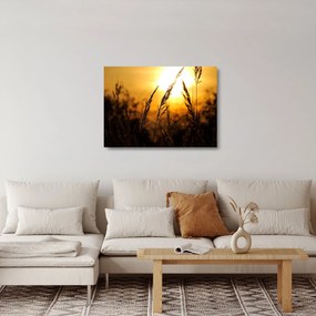 Tablou pe sticlă - Apus de soare (70x50 cm)