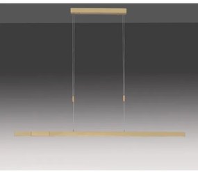 Lustră LED dimabilă pe cablu Paul Neuhaus 2568-60 ADRIANA LED/14W/230V alămie