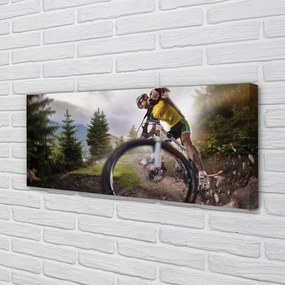 Tablouri canvas Cloud mountain bike