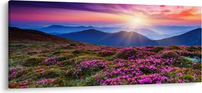 Tablou - Munte înflorit peisaj (120x50 cm)