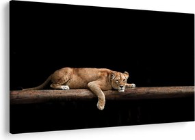 Tablou - Lioness (90x60 cm)