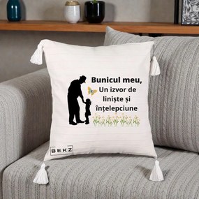 Cadou pentru Bunic - Perna Personalizata Bunicul Meu Izvor de Liniste cu Fluture si Fetita, 40x40 cm, Bej cu Franjuri, Husa Detasabila, Perna Inclusa, BEKZ®