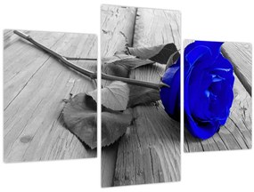 Tablou - Trandafir albastru (90x60 cm)