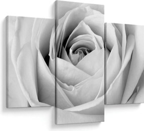 Tablou - Detailu de floare de trandafir (90x60 cm)