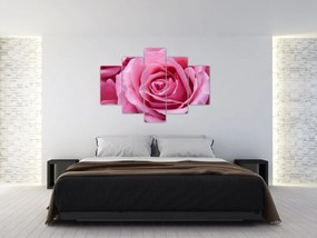 Tablou cu trandafir (150x105 cm)