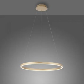 Lustră LED pe cablu dimabilă RITUS LED/28W/230V Leuchten Direkt 15394-60