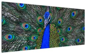 Tablou - Păun (120x50 cm)