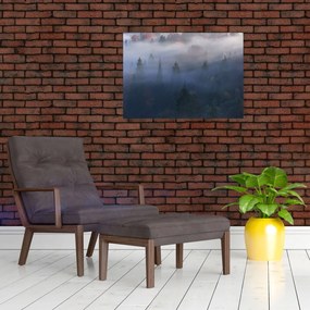 Tablou - Pădure în ceță, Carpați, Ucraina (70x50 cm)