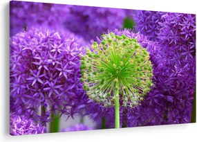 Tablou cu floare (90x60 cm)