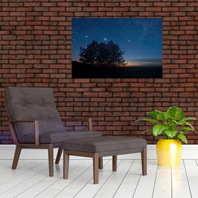 Tablou cu copaci noapte (90x60 cm)