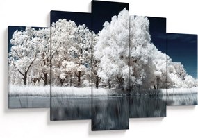 Tablou - Albă ca Zăpada Albă ca Zăpada Copaci (150x105 cm)
