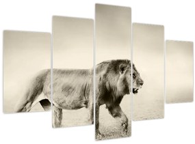 Tablou - Leul flămând (150x105 cm)