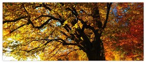 Tablou cu toamna (120x50 cm)