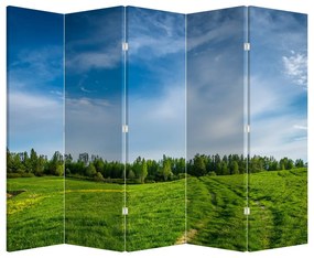 Paravan - Luncă (210x170 cm)