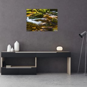 Tablou pe sticlă cu părâu (70x50 cm)