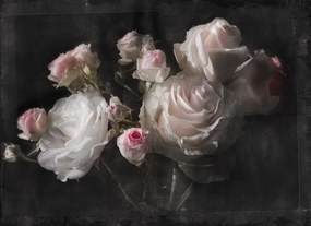 Fototapet dormitor Trandafiri roz Vintage