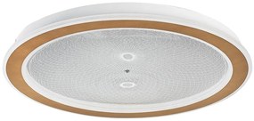 Plafoniera LED cu telecomanda Efrael D-51cm