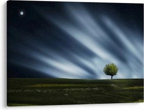 Tablou -Aurora boreală (70x50 cm)
