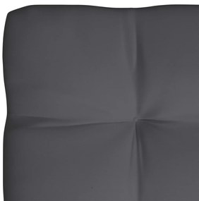 Perne pentru canapea din paleti, 7 buc., antracit 7, Antracit