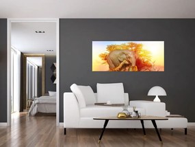 Tablou - Animale africane (120x50 cm)