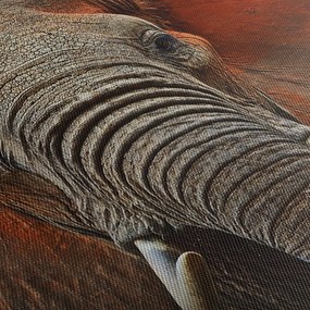 Tablou - Elefanți cu Tsavo (90x60 cm)