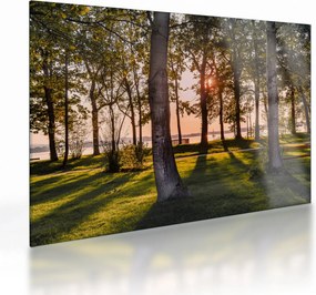 Tablou pe sticlă cu pomi lângă lac (70x50 cm)