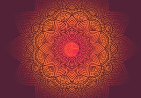 Fototapet - Mandala, culori Închise (147x102 cm)