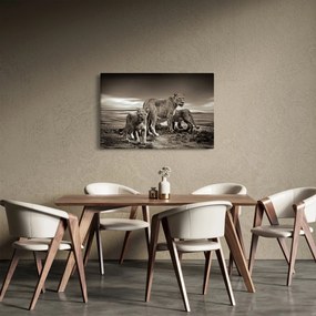 Tablou cu leii alb negri (90x60 cm)