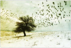 Tablou - cu multe păsări pictate (90x60 cm)