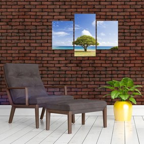 Tablou plaja cu copac (90x60 cm)