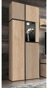 Vitrină Carlyn WSW (hikora jackson + negru (cu iluminat LED). 1097593