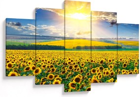 Tablou - Câmp cu floarea soarelui (150x105 cm)