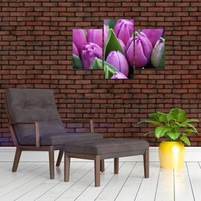 Tablou - florile lalelelor (90x60 cm)