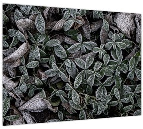 Tablou pe sticlă - Plante înghețate (70x50 cm)