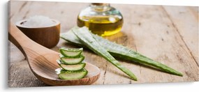 Tablou - Aloe vera (120x50 cm)