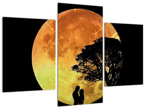 Tablou cu umbre în lumina lunii (90x60 cm)