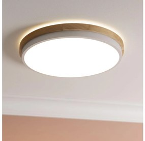 Plafonieră LED dimabilă Brilliant BAARLO LED/24W/230V d. 35 cm alb