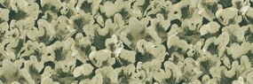 Fototapet, Corals, Green, Rebel Walls